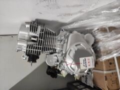 CG 250 ALT motor