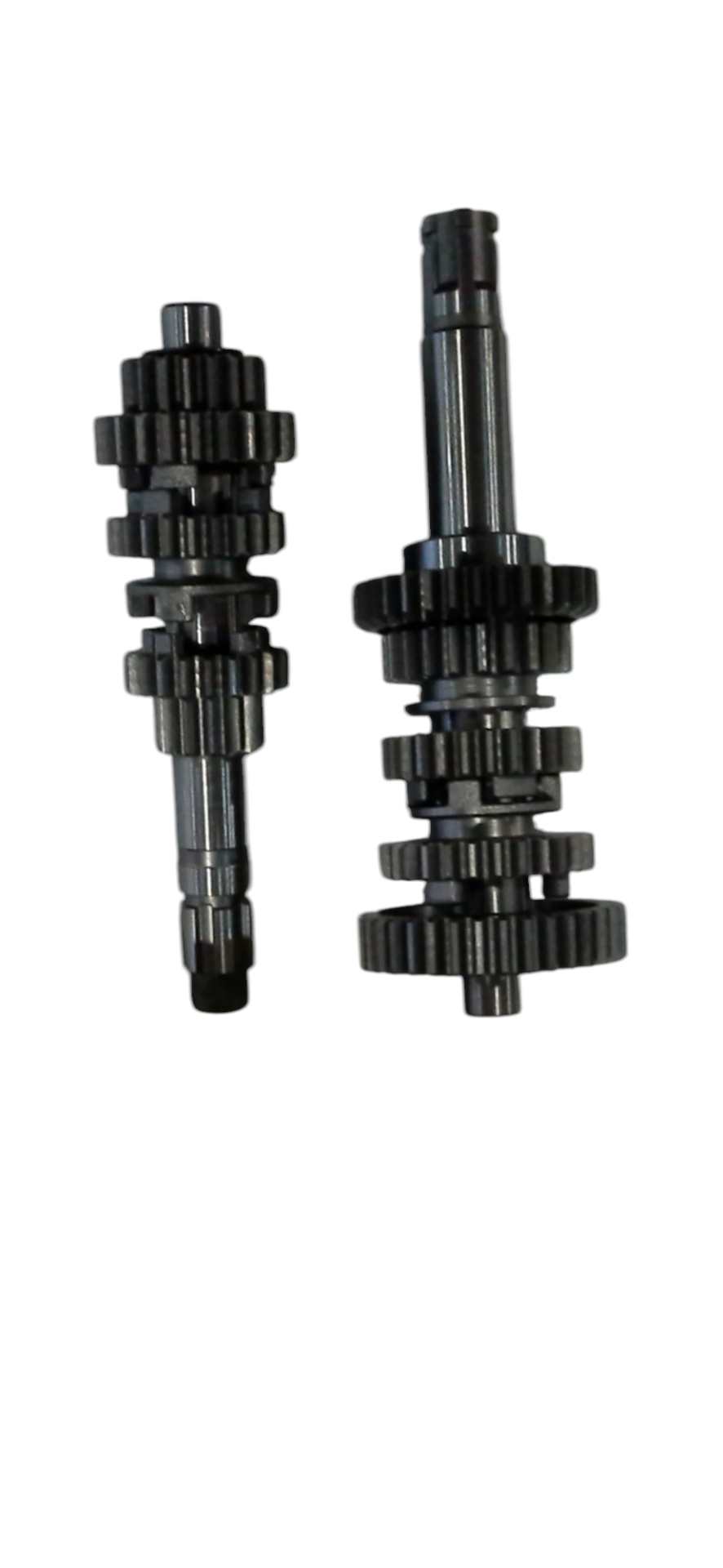 REGAL RAPTOR 250 şanzıman