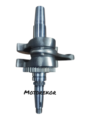 Segway snarler 570 krank