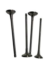 Srk 125R subap takımı