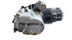 Cup 125 cc alt motor komple